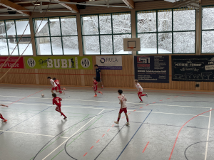 renault symbioz firmenfahrzeug.